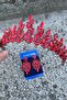 Regina Red Bridal Henna Crown Special Occasion Accessory Women's Crown and Thin Shuttle Earring Set - 3