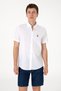 U.S. Polo Assn. Men's Short Sleeve 100% Cotton Shirt 2083854