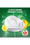 Plus Lemon Dishwashing Liquid Soap With Alternative Power To Bleach - 6