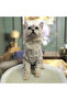 White Pearl Heart Sweater for Cat and Dog - 4