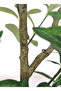 Home Interior Artificial Green Plant Decoration, Olive Tree - 4