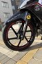 Red Color Rim Strip Sticker Set for Cuba Ege Cup Motor (Compatible with All Cups) - 3