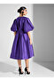 Ruffle Sleeve Taffeta Dress - 3