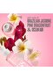 Sherosa Mist Fragrance Set | Mini Travel Perfumes (4 x 30ml) - Tropical Scent - 6