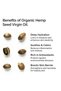 Organic Hemp Seed Oil 20ml – Cold-Pressed – Hydrating Face & Hair Oil, Soothing & Nourishing - 7