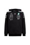 Mercedes - Amg Petronas Formula One Team Hood