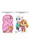 Paw Patrol Skye 8Th Birthday Party Pack - 5
