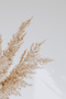 Amazing | Autumn Dry Herbs Combination (Autumn) | Framed Glass Table 3 Pieces Vertical - 4