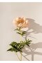Amazing | Green-Cream Chamomile Rose Combination (Anthemis Chia) | Framed Glass Table 3 Pieces Vertical - 4