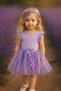 Girl's Special Day Birthday Daily Christmas Gift Evening Dress Cotton Tulle Princess Lilac Dress - 2