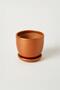 Tabaklı Bronz Çömlek Saksı 19x19 Cm - 2