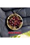 Gold Tree of Life Orgonite Necklace - Obsidian - Garnet (Hand Made Design Products) - 6