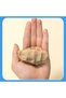 EY012 Sand 150g 6 Colors Assorted – Ideal for Kids, Crafting, and Creative Play - 5