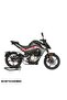 مجموعة ملصقات CFMOTO 250NK من البلاستيك المتوسط ​​يمينًا ويسارًا (حافظة قديمة - متوافقة مع الحافظة الجديدة) - 2