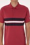 Men's Regular Fit Cherry Polo Neck T-Shirt 50306808-Vr223 - 6