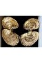 Gold Color Mussel Dangle Zra Steel Earrings - 5