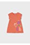 Baby Girl Printed Dress