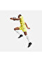 Fenerbahçe 2023/2024 Yellow Shorts 772020-04 - 4