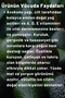Avocado Extract Hand, Face and Body Care Cream 250 ml |   Vitamin Oils Series - Intensive Moisture Therapy - 2