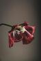 Amazing | Soft Flower Combination (Macro Boho) | Framed Glass Table 3 Pieces Vertical - 2