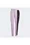 أساسيات Colorblock Sweatpants - 3