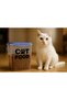 Cat Food Storage Container Transparent Sealed Lid Bfa Free Average Take about 2.5-kg Food