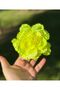 Trend Envy Big Artificial Rose Flower Neon Yellow Color Clothespin Clip Buckle Female Child Buckle - 4