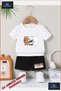 Kids Unisex “Pandas 3 Ice Cream“ Custom Printed Crew Neck T-Shirt - Shorts Set