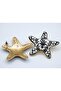 Porcelain Sea Star Earring 4cm - 2