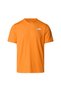 ERKEK 24/7 S/S TEE REG - 4