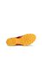Biom C-Trail W Night Sky - 5