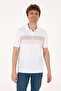 Men's Regular Fit Khaki Polo Collar T-Shirt 50306793-VR027 - 3