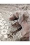 Beige Gray Tonda Organza Tulle (Width 150 cm X Length 325 cm) - 3