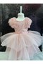 Sleeves Tulle Detail Puffy Shiny Paillettes Girl's Evening Dress