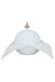 Saif Gallery Porcelain Date Bowl Base and Lid - White