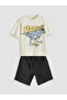 Dinosaur Printed Boys T-Shirt and Shorts 2-Piece
