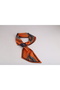 4823 Feather Pattern Elegant Design Stylish Women's Tie Scarf - 4