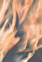 هاريكابيريف | مجموعة زهور الجناح الناعمة (الريش) | طاولة زجاجية بإطار 3 قطع عمودية - 3