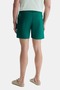 PERKINS Green Sea Shorts Embroidered Men's Sea Shorts - 4