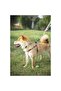 Urban Style Freestyle Chest Harness (XS) - 4