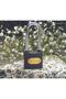 50mm - Long Gray Padlock - 3