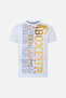 Round Neck Anthracite T-Shirt with Graphic Anthracite - 2