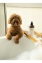 Detox Dog Shampoo for Sensitive Skin - Made in Spain - 4