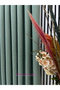 Atina Green Heavy Weight Background Curtain 1X3 Tight Pile [Single Wing] Ironing Is Not Asked Suitable for Any Room - 3