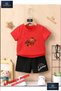 Children's Unisex “Flaming Basketball“ Custom Printed Crew Neck T-Shirt - Shorts Set