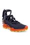 Biom C-Trail W Night Sky