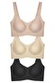 Seamless Bra - Curve |   Laser Cut Seamless Gathering Plus Size Women's Bra 3-Pack