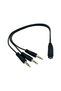 Audio System Cable 3 Male Aux 1 Female Aux 1 Female Stereo 3 Male Stereo Cable