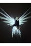 Eagle Night Light with White Led (with 12Volt Adapter) - 2