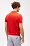 Men's Red Slim Fit Slim Fit Polo Collar Plain Short Sleeve Knitwear T-Shirt - 5